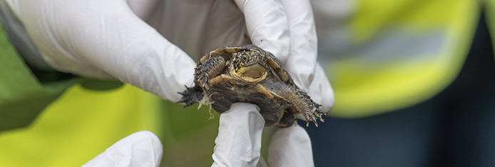 We’re doing our part to protect the planet.